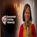 Seeking Gods heart